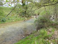 Achaia - Tripotama - Silver Fountain - River