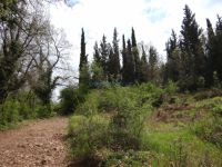 Achaia - Tripotama - Barbanitsa's Hill