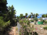 Sporades - Alonissos - Path to Beach Marpunta