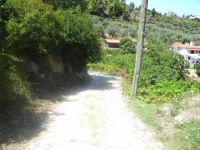 Sporades - Alonissos - Paliochorafina - Path to Patitiri