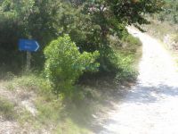 Sporades - Alonissos - Path to Chora
