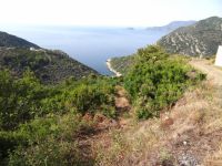 Sporades - Alonissos - Chora - Path to Beach Vrisitsa