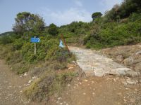 Sporades - Alonissos - Path to Kalovoulos