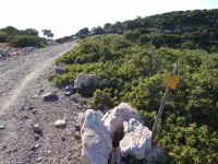 Sporades - Alonissos - Path 12