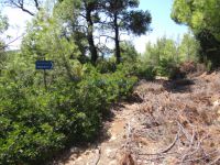 Sporades - Alonissos - Path 7 to Megali Ammo