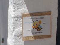 Κυκλάδες - Ανάφη - Χώρα - Μελισσοκομικός Συνεταιρισμός