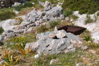 Dodecanese - Chalki - Well