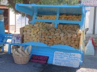 Dodecanese - Lipsi - Natural Sponges