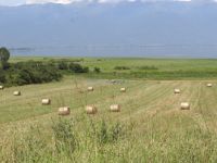 Balls of hay, farmlands and in the background the Kerkini Lake in the village Koryfoudi