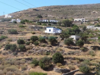 Ο μικρός οικισμός Φοινικιά στη βόρεια Σύρο