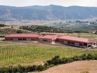 platanotopos_winery_nico-lazaridi_01