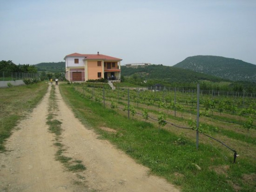 rodochori_winery_argatia_01